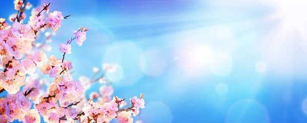 戰(zhàn)疫情，北京韋林公司全體員工齊心協(xié)力共克時艱！